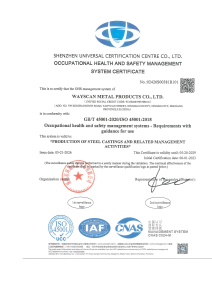 ISO 45001:2018 Occupational Health and Safety Management System