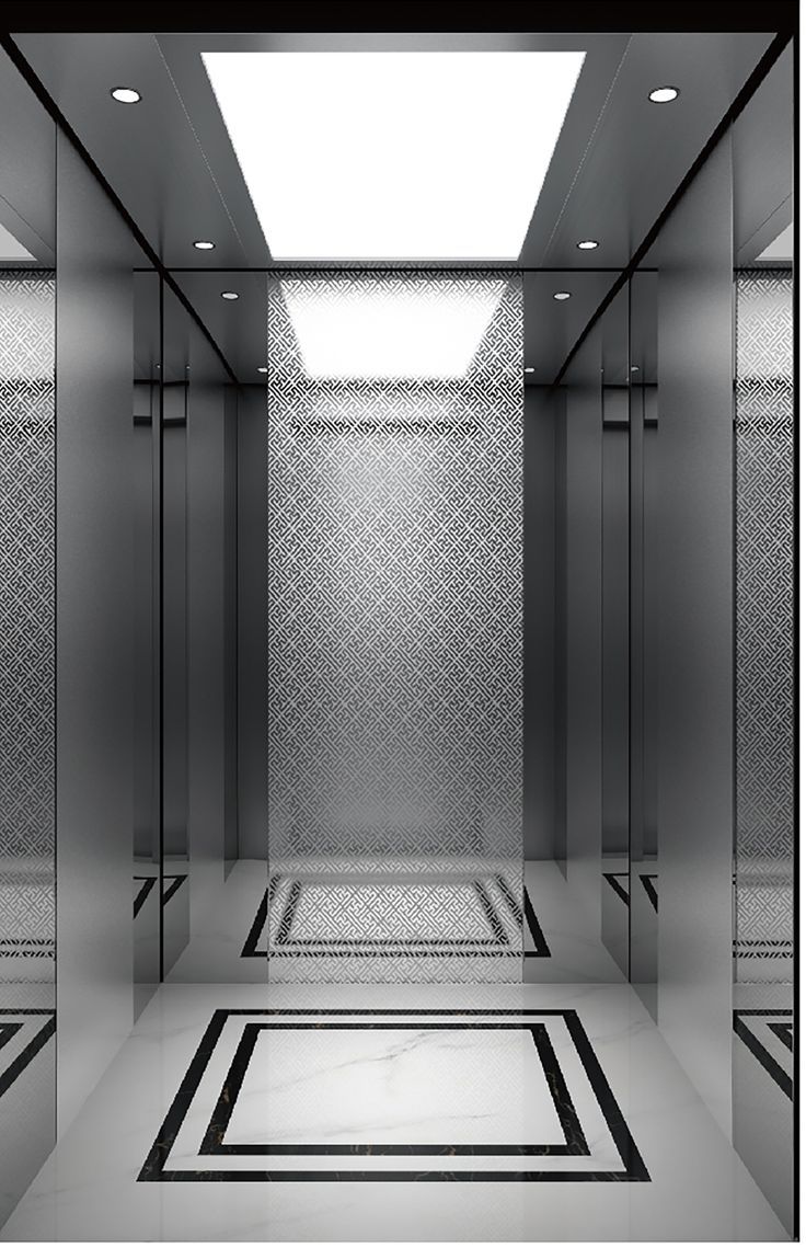 Delfar customized elevator project in Georgia