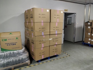 Pending‑Production Packaging Stock
