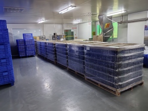 Pending‑Production Packaging Stock