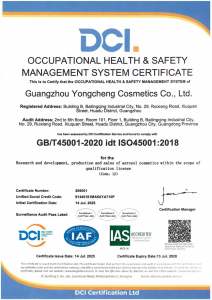 Occupational Health & Safety Management System Certificate (ISO 45001:2018)