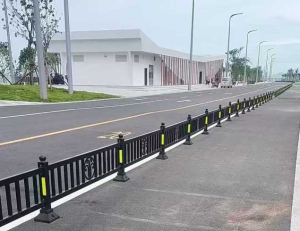 motorized/non-motorized lane separation guardrail