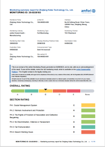 amfori BSCI Social Audit Monitoring Report