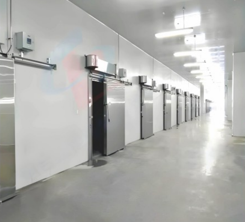 Electric Sliding Door