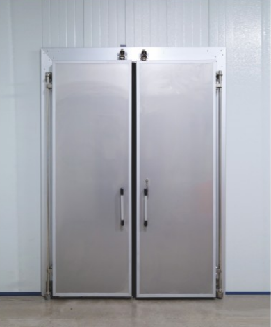 Pivot Door