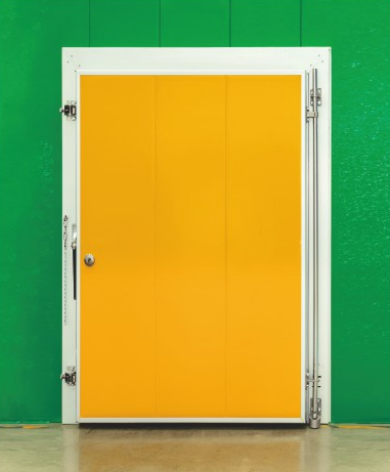 Pivot Door