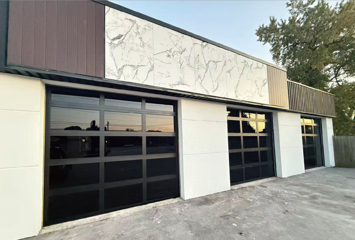 Glass garage Door with Al Frame