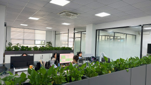 New Upward Company Office