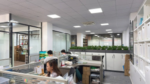 New Upward Company Office