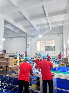 New Upward Production Line 