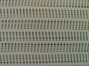 Polyester Mesh Belt