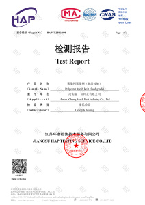 Test Report (for "Polyester Mesh Belt (food grade)")