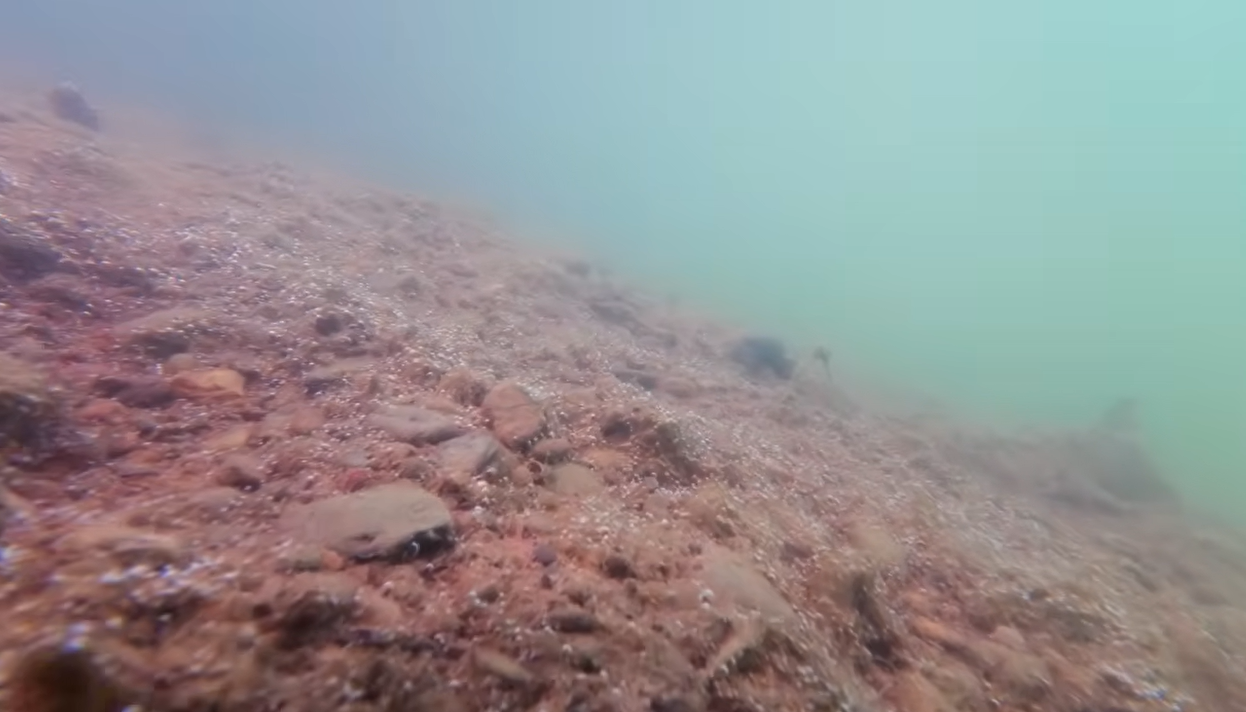 Aquarist / Wildlife Filmmaker / Outdoor Explorer