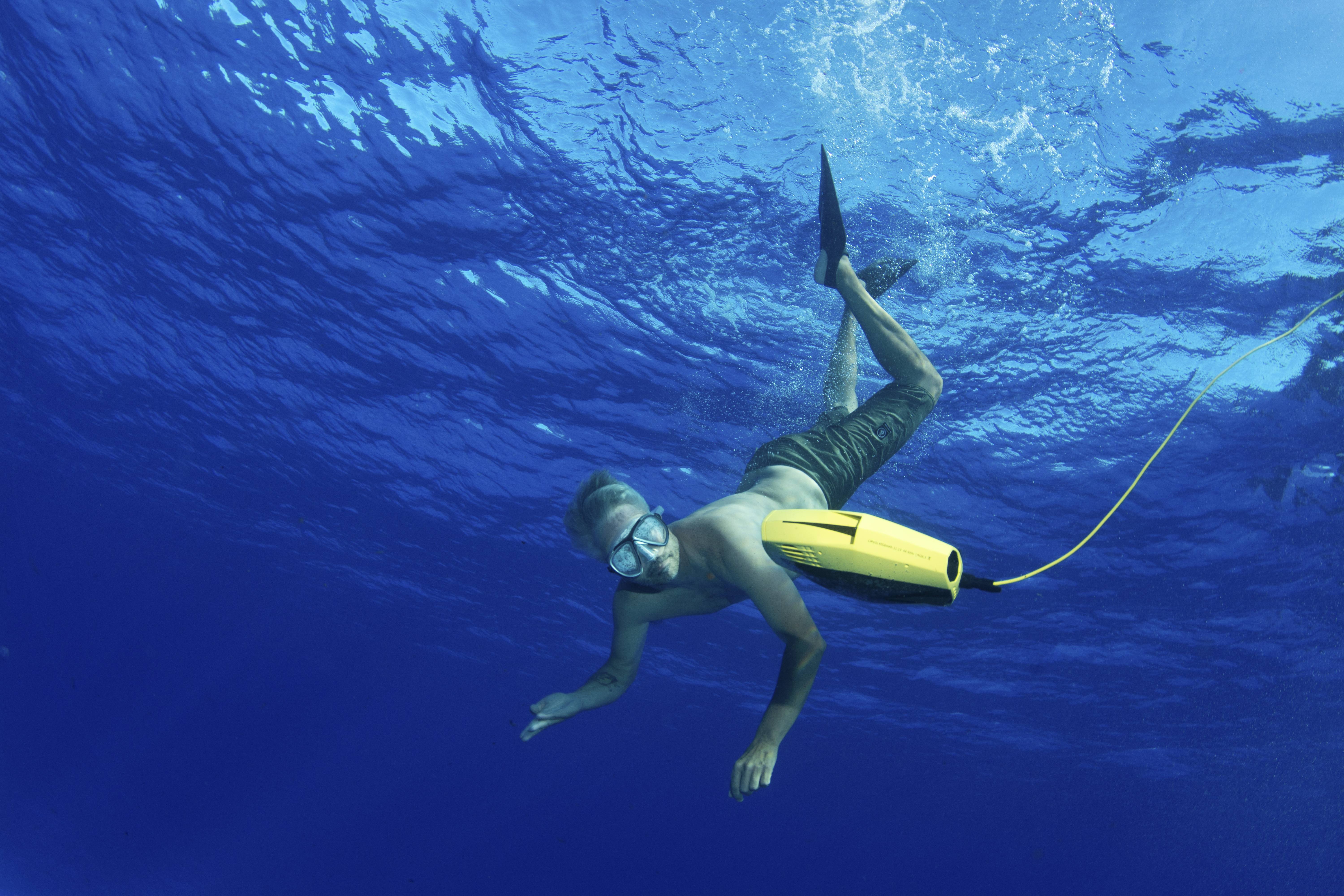 CHASING Dory