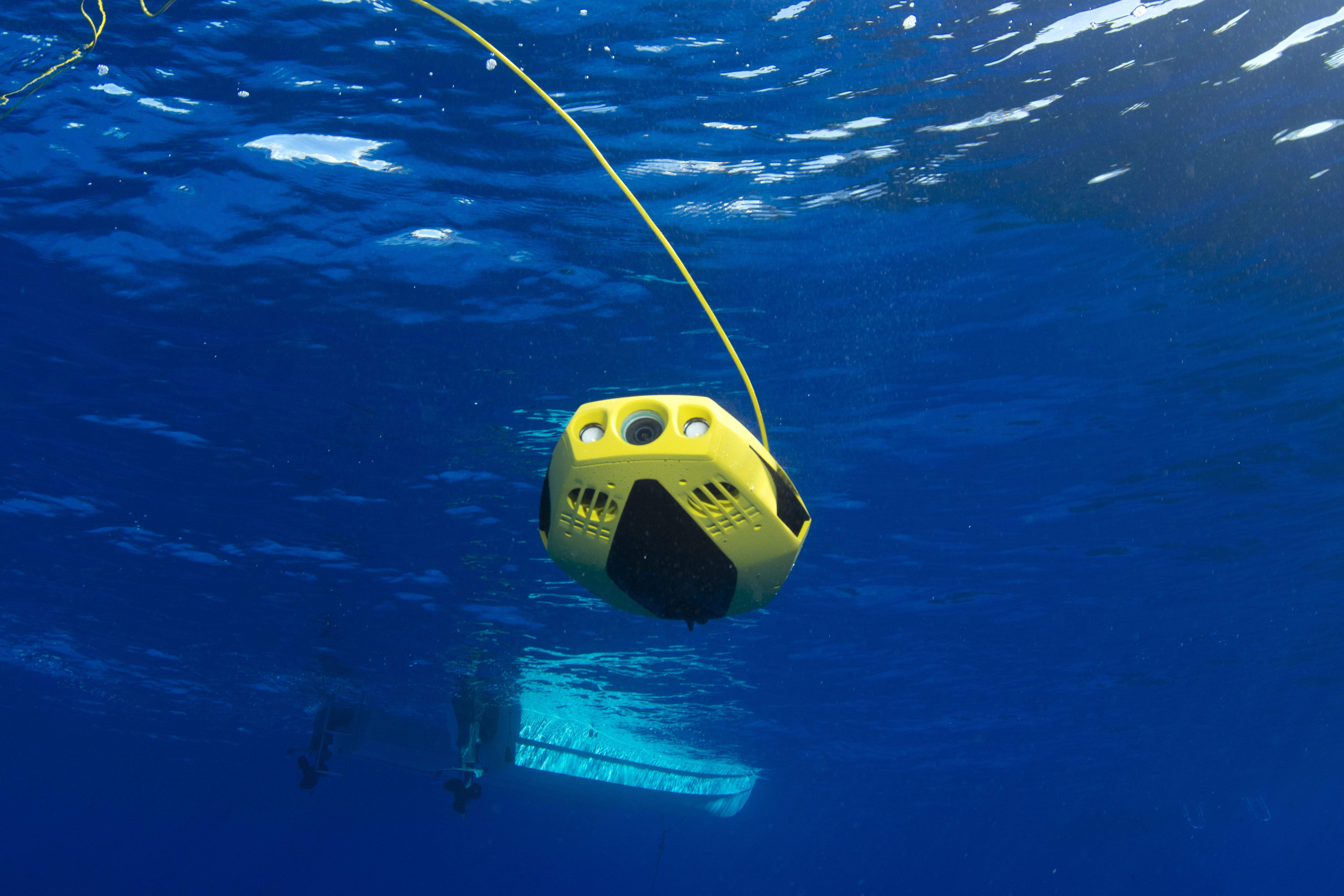 CHASING Dory