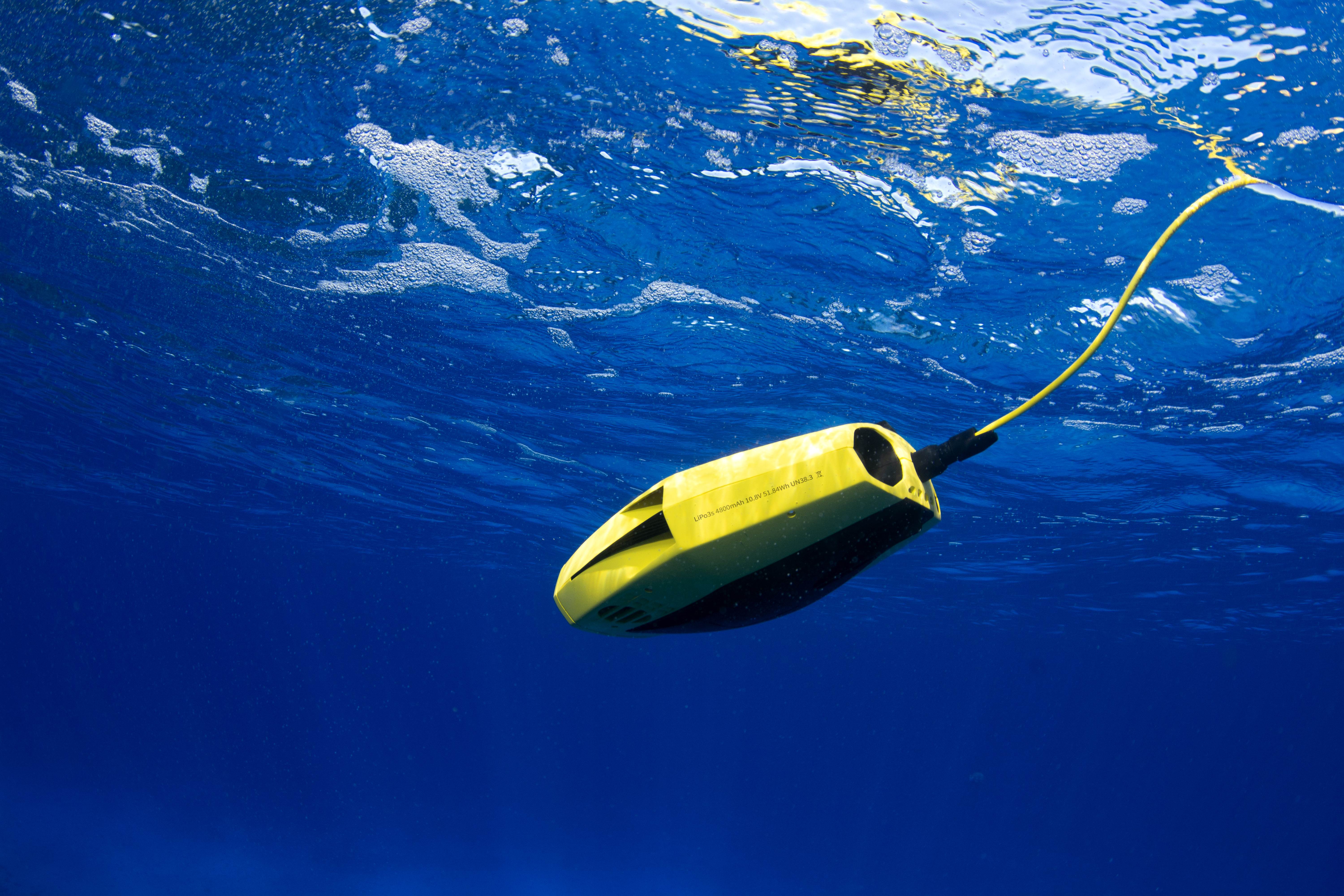 CHASING Dory