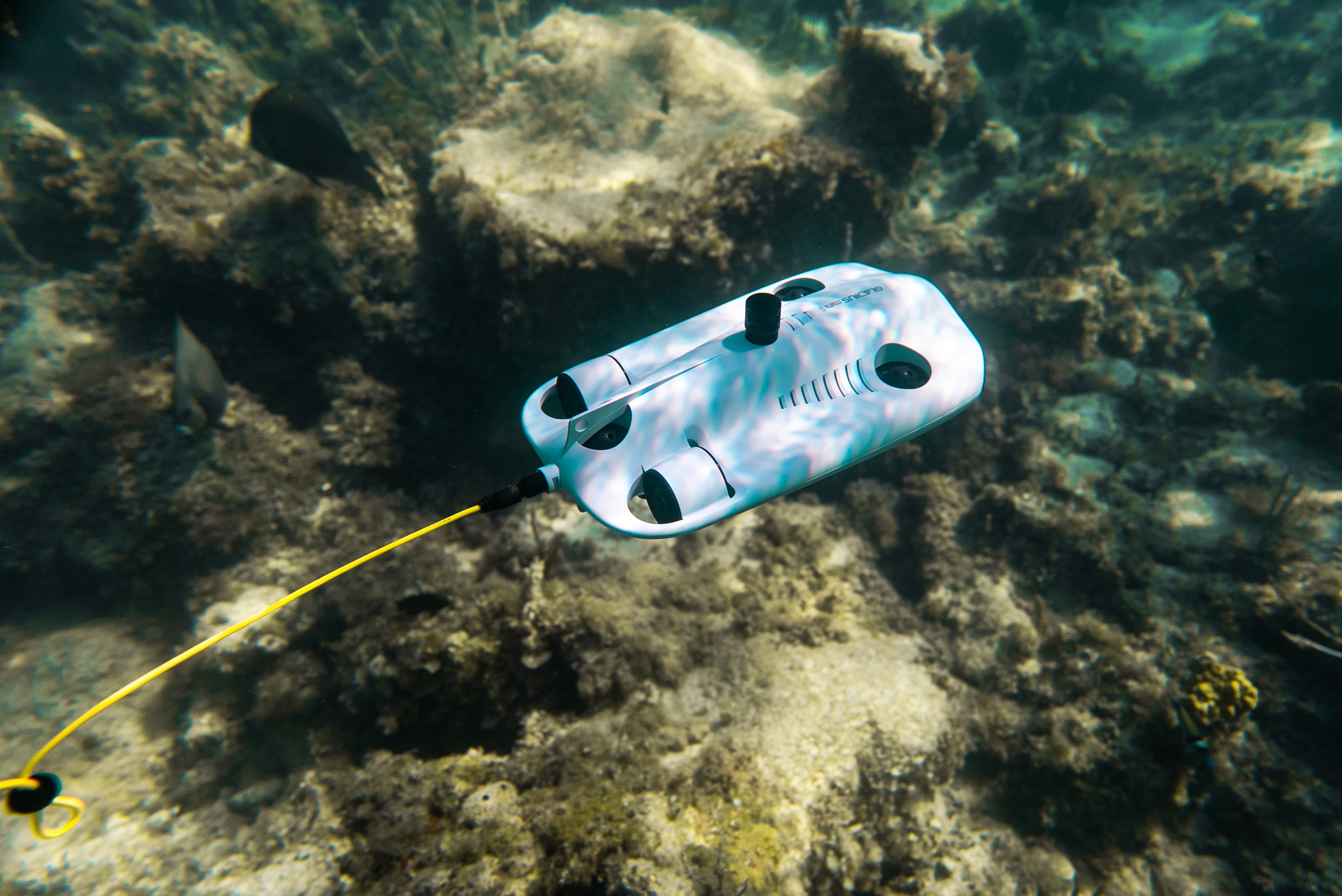 CHASING Gladius MINI S 