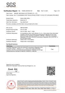 Verification Report