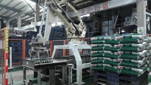 Risso factory display picture