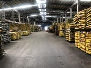 Risso factory display picture