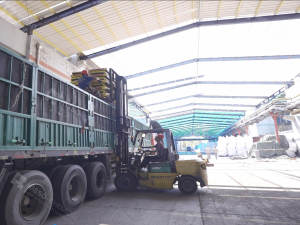 Risso factory display picture