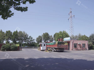 Risso factory display picture