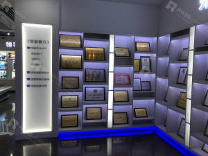 Risso factory display picture
