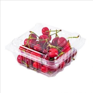 Fresh-produce packer, supermarket own-label supplier