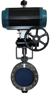 Valve for Desulfurization System