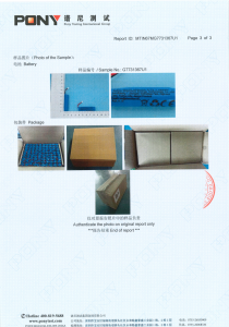 Hazard Classification and Identification Report for Transport of Goods (IMDG Transport Report, Compliant with Special Provision 188)