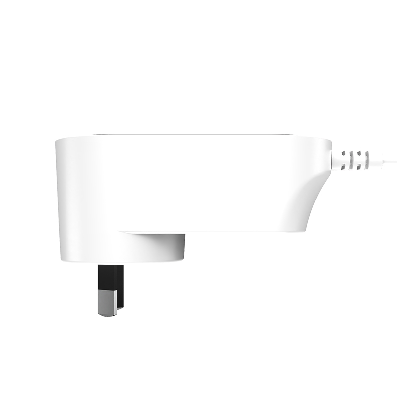 36W AU plug 4