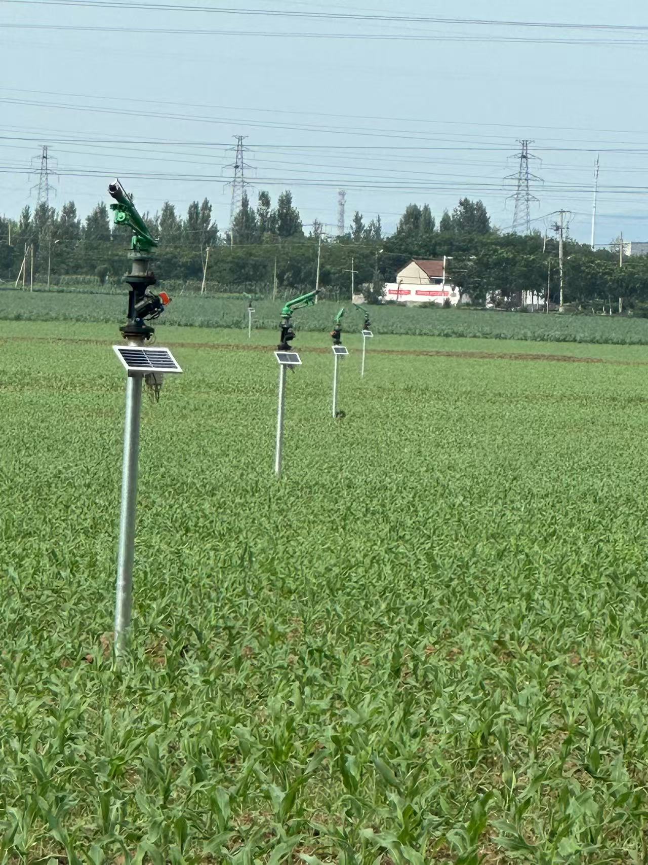 Fixed rain gun sprinkler irrigating an open agricultural field
