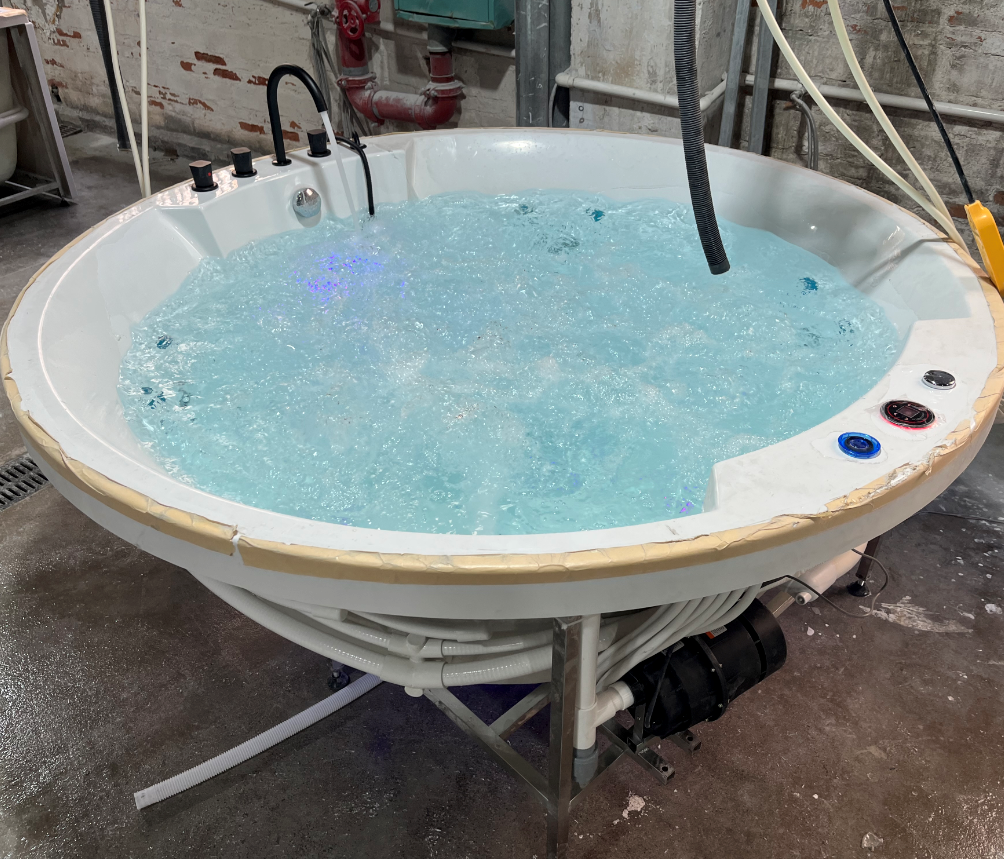 Round bathtub