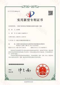 Chinese Utility Model Patent