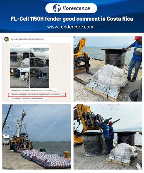 Port & Terminal Contractor