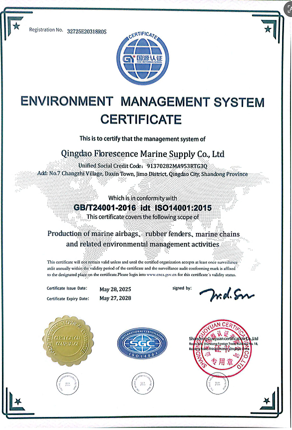 ISO14001 Environment Management System Certificate