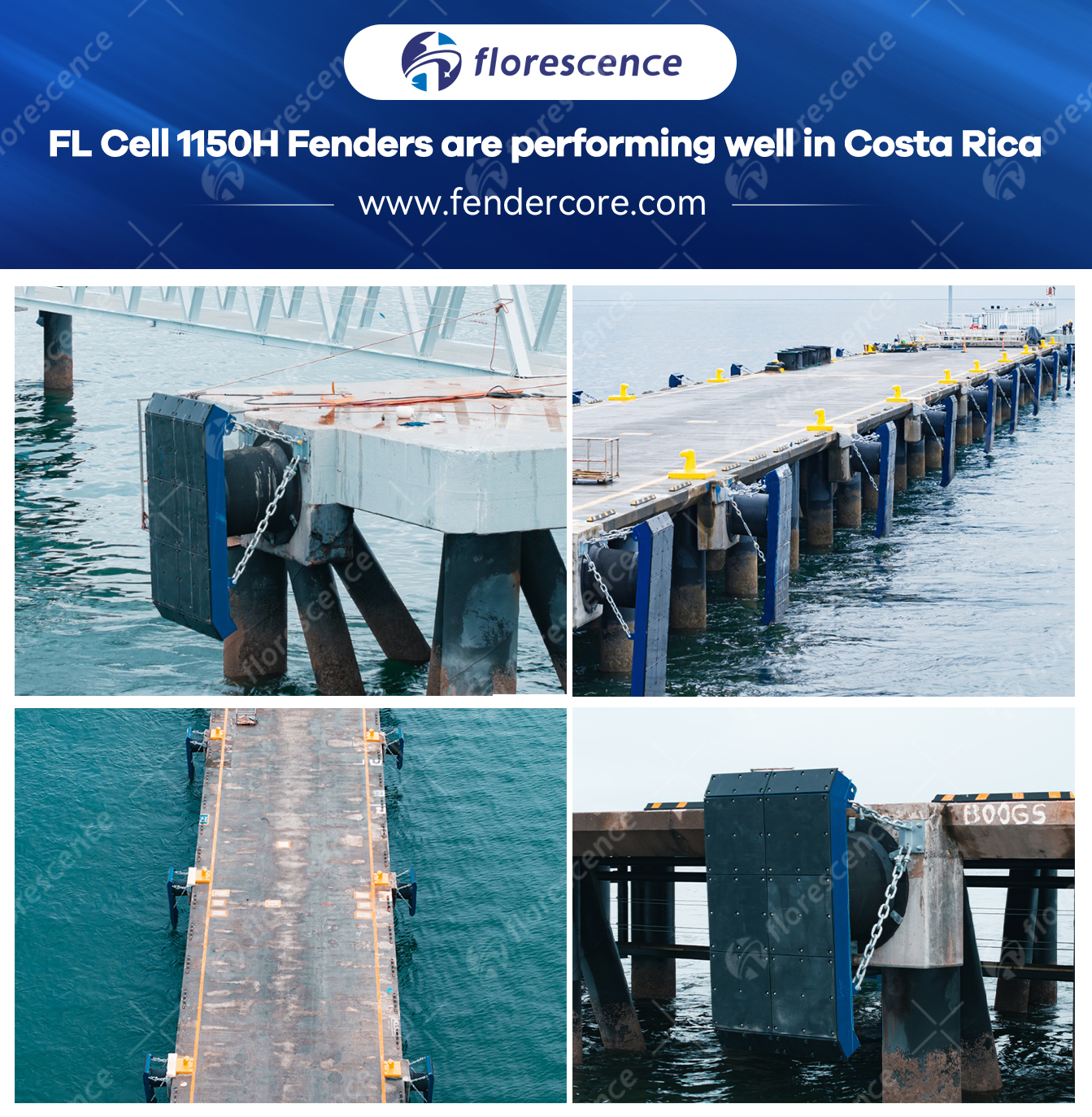 FL cell fenders used in South America