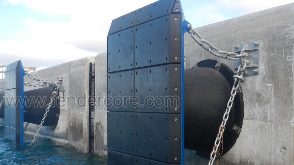 Container Terminal, LNG/Tanker Offshore Berth Authorities