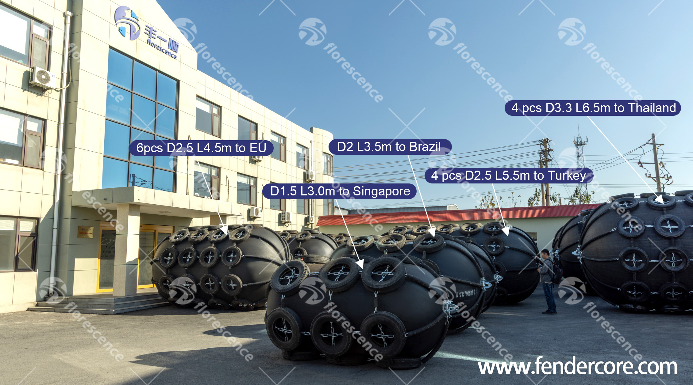 Pneumatic rubber fender