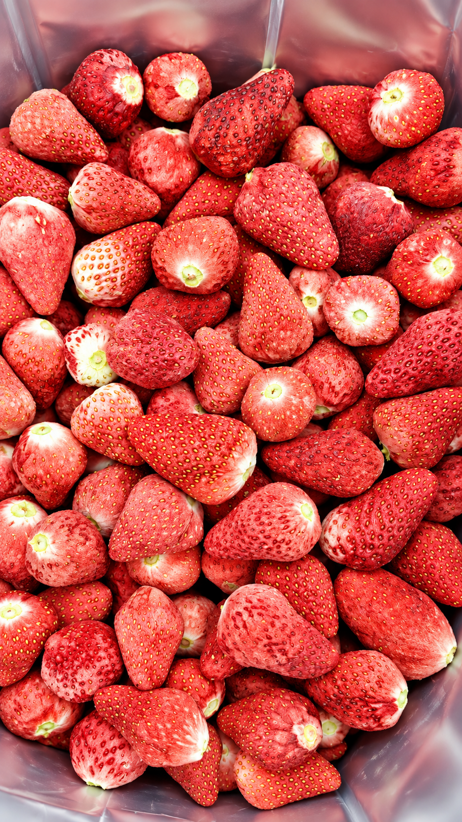 bulk freeze-dried strawberry ingredient prepared for a multi-ton B2B export order