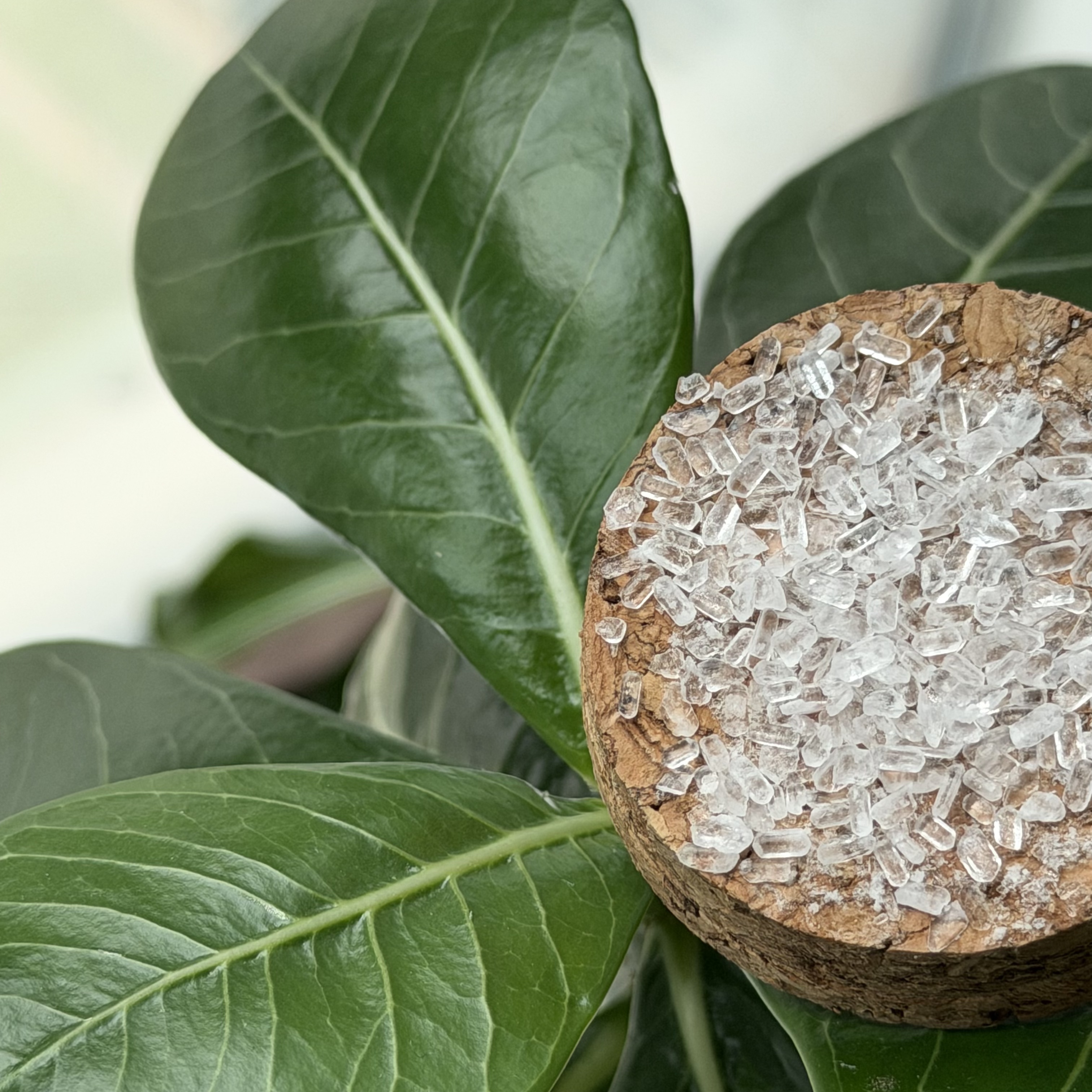 Magnesium sulphate heptahydrate white granular crystal product