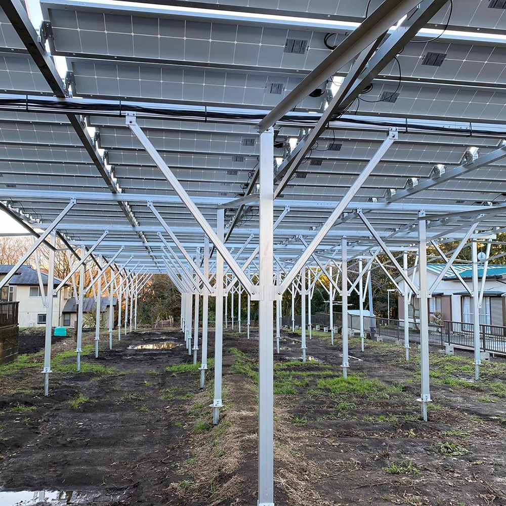 NS-Farm-2,solar farm system
