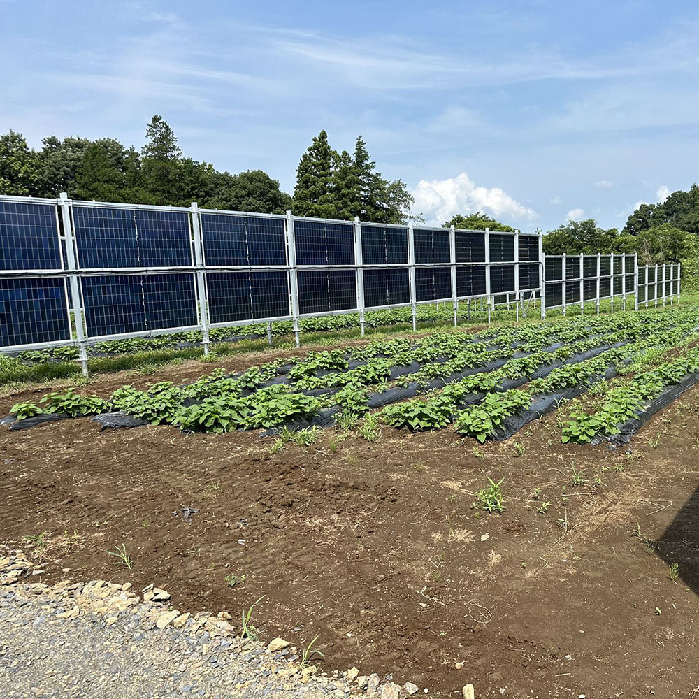 NS-Vertical-2,solar panel fence