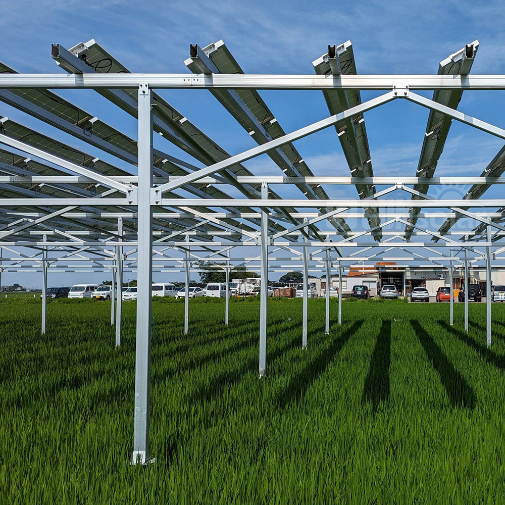 solar farm mounting system