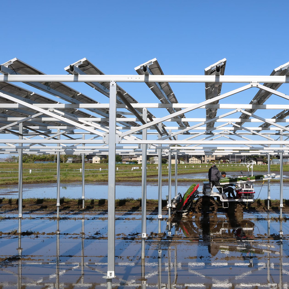 NS-Farm-3,solar farm system