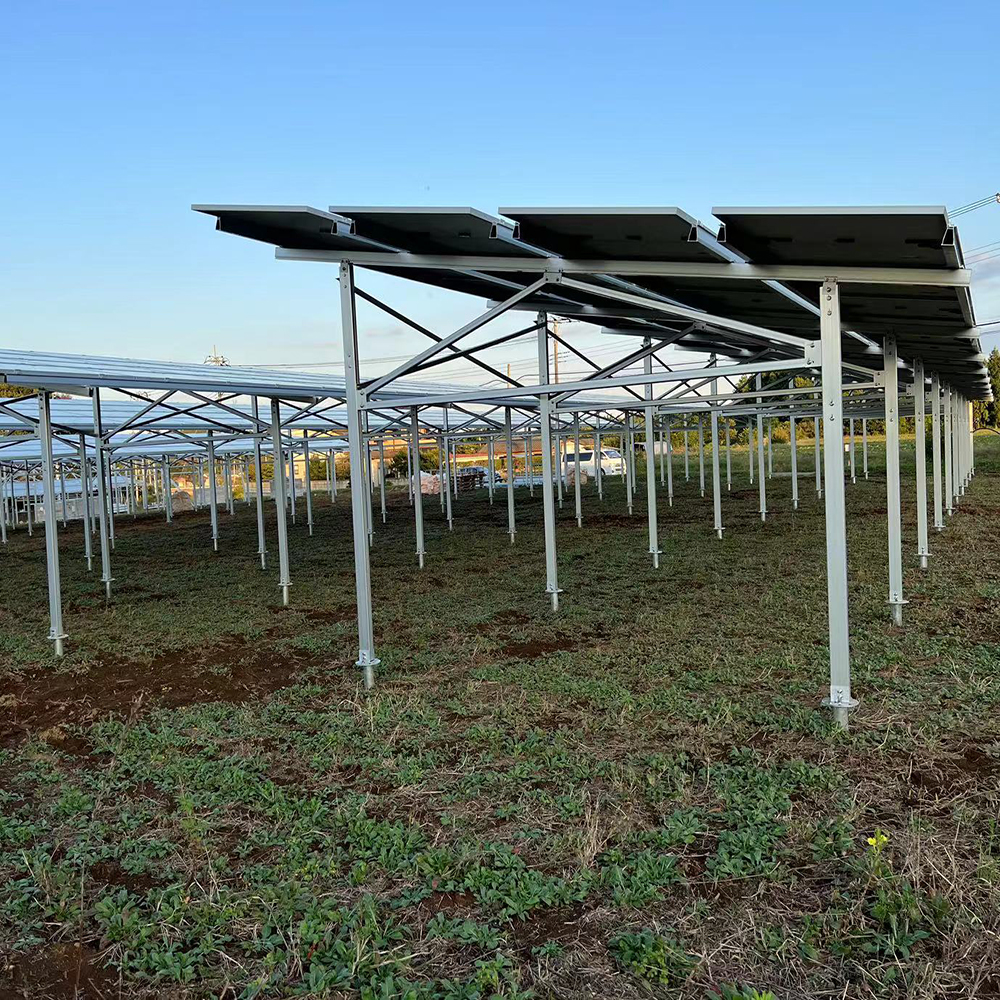 NS-Farm-4,solar farm system