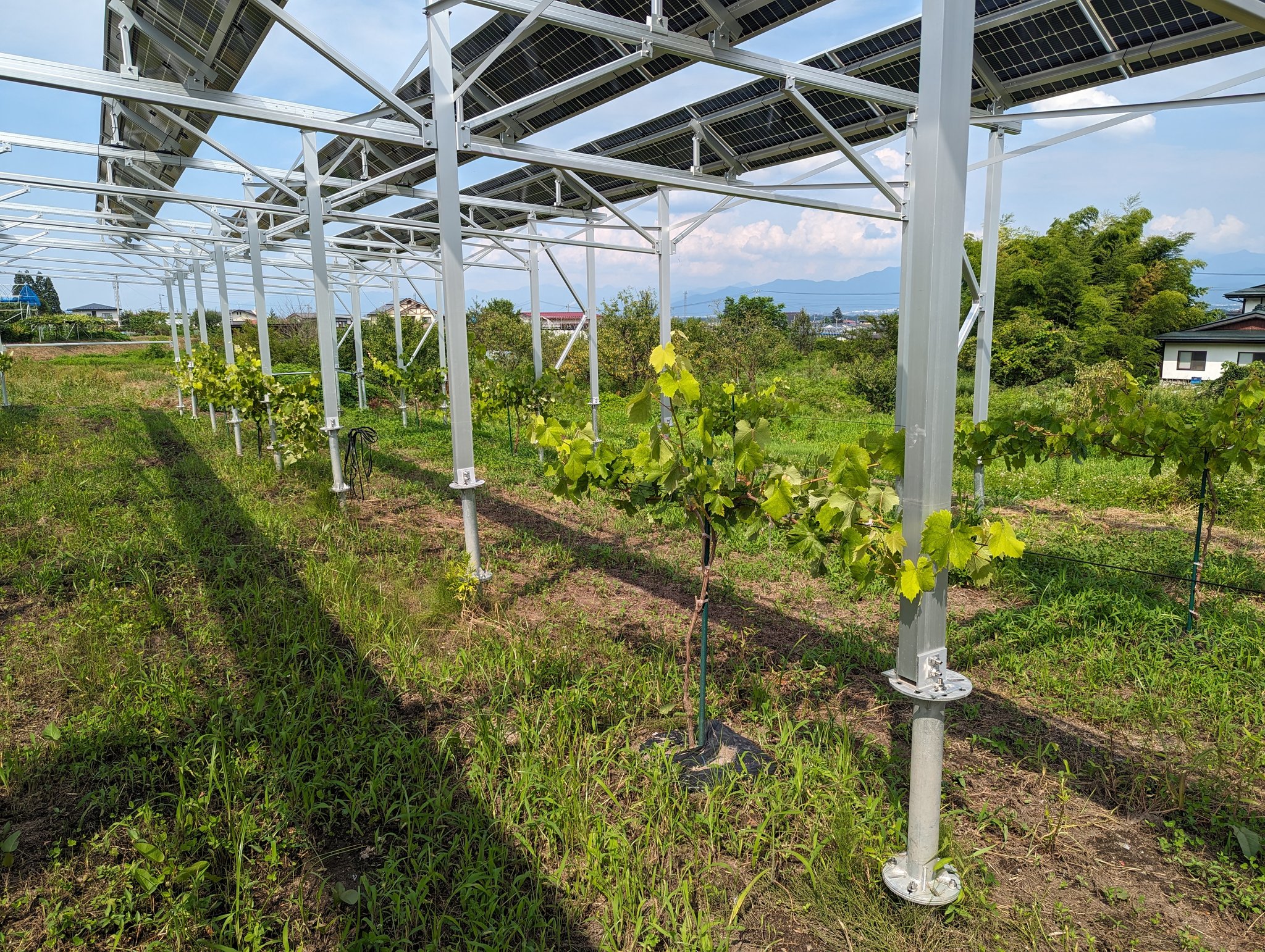 Solar Installer in Japan