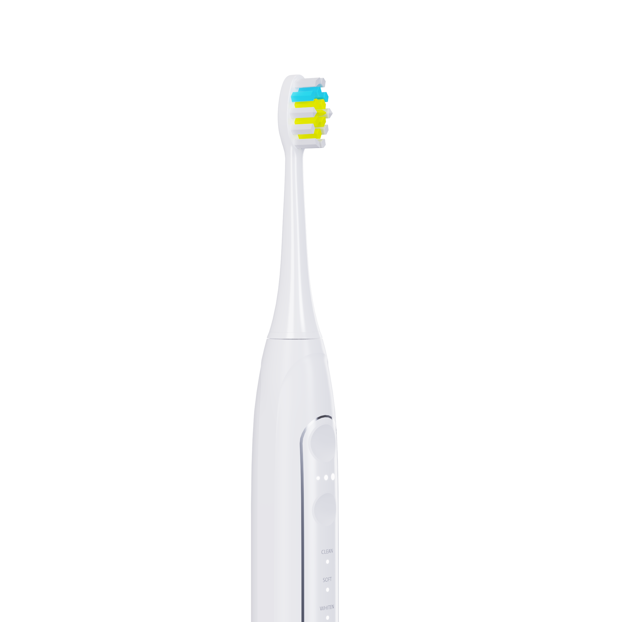 T2431B0.1