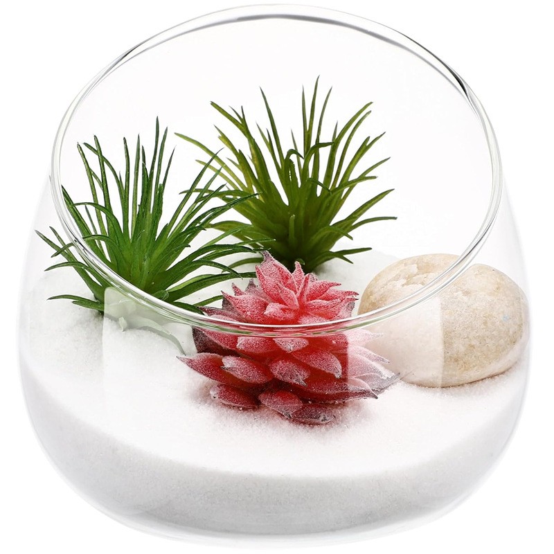 Clear round Glass Vase