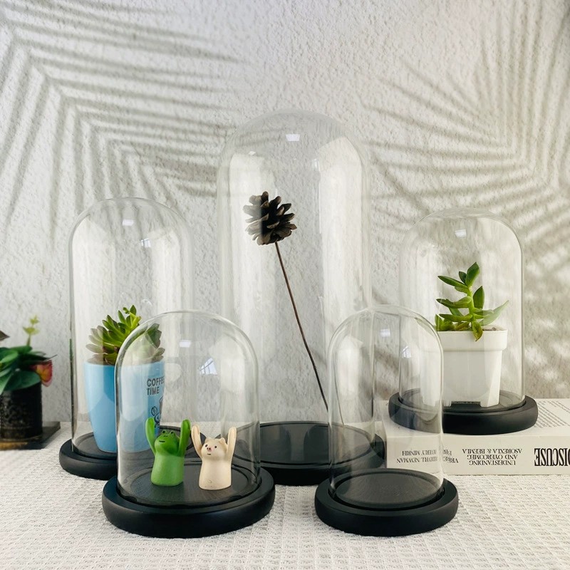 Glass Bell Jar Black Wooden Base
